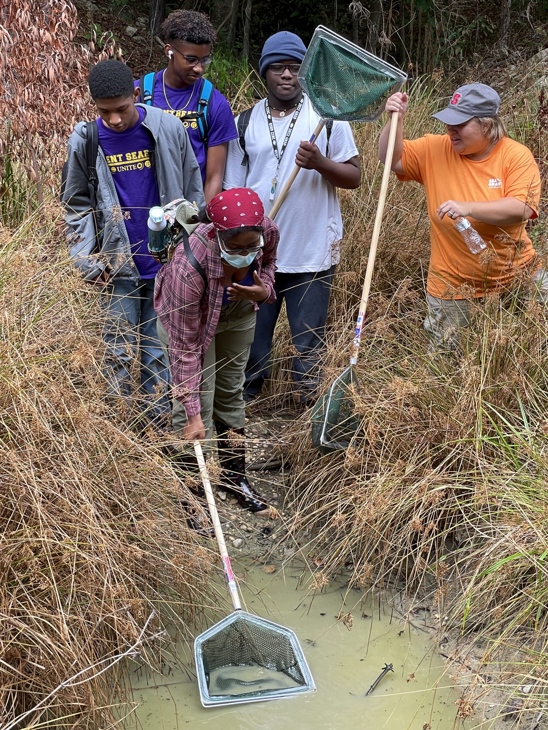 Four students and an instructor stand in a marshy area, one student holds a net on a long pole while another one uses their pole to scoop up something from a muddy pool.