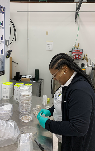 WSSU Astrobotany Lab research assistant Lauryn Andrews selecting seeds for a microgreens experiment.